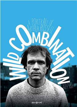 Wild Combination: A Portrait of Arthur Russell在线观看和下载