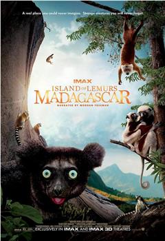 马达加斯加：狐猴之岛在线观看和下载