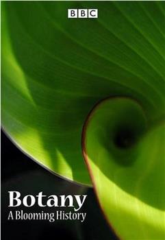植物学：绽放的历史 第一季在线观看和下载