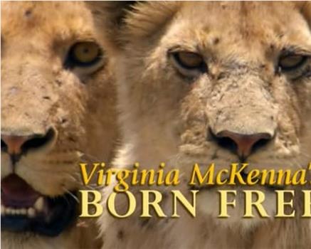 弗吉尼亚·麦肯娜回顾《生来自由》在线观看和下载