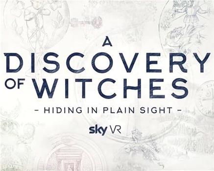 A DISCOVERY OF WITCHES – HIDING IN PLAIN SIGHT在线观看和下载
