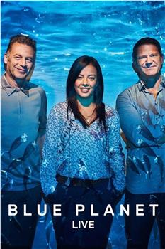 Blue Planet Live Season 1在线观看和下载