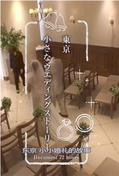 纪实72小时：东京小小婚礼的故事在线观看和下载