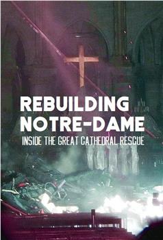 古教堂大救援：争分夺秒拯救巴黎圣母院在线观看和下载