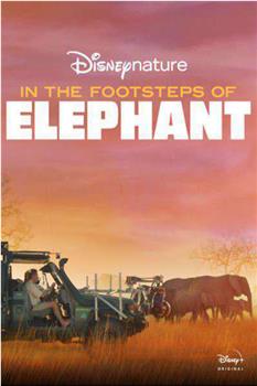 《大象》幕后特辑在线观看和下载