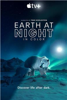 夜色中的地球 第二季在线观看和下载