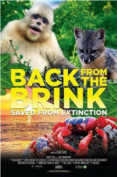 Back From the Brink: Saved From Extinction在线观看和下载