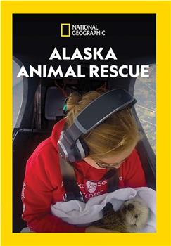 阿拉斯加野生动物救援 第一季在线观看和下载