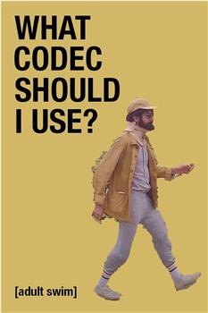 WHAT CODEC SHOULD I USE?在线观看和下载