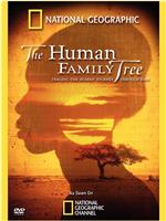 2009年国家地理杂志专题 人类基因树
