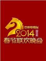 2014年中央电视台春节联欢晚会