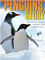 企鹅的故事