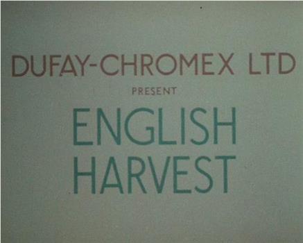 English Harvest观看