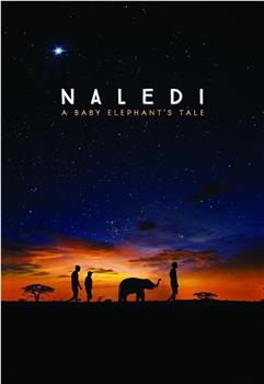 纳勒迪：一只小象的故事观看