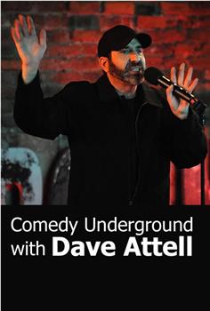 Comedy Underground with Dave Attell观看