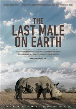 苏丹：最后的雄性犀牛观看
